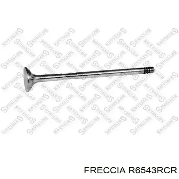 Выпускной клапан 6543 Freccia