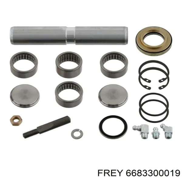 Ремкомплект шкворня поворотного кулака 6683300019 Frey