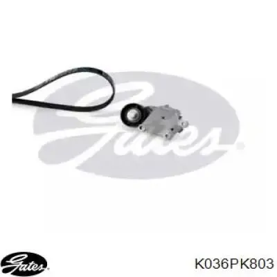 Ремень приводной 6PK800K2 Continental/Siemens