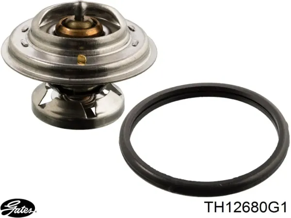 Термостат TP0797011 Tempest