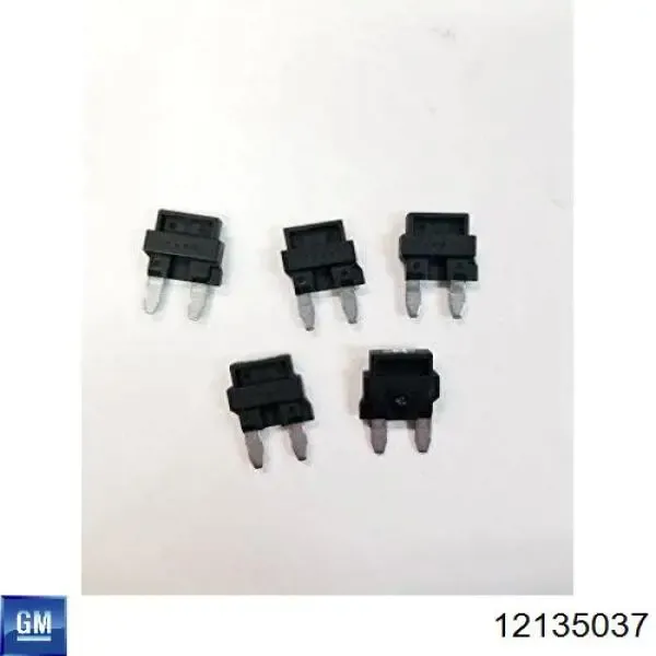 12135037 General Motors
