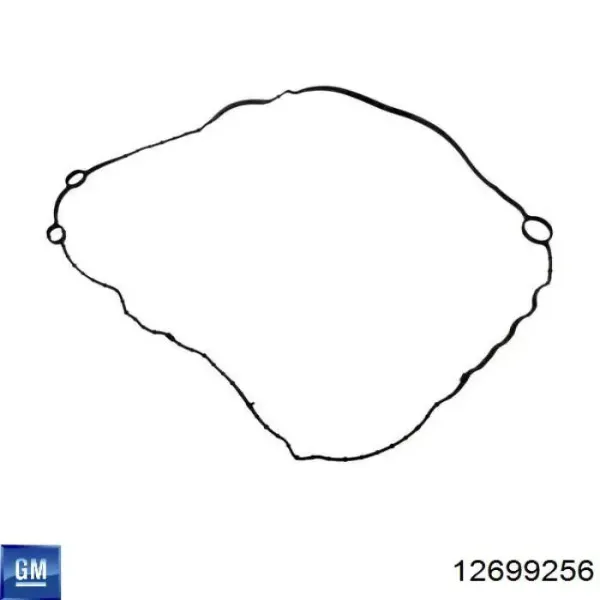  12699256 General Motors