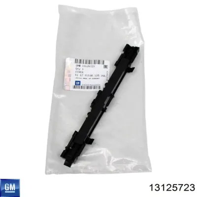 Заглушка рельсы (рейлинга) багажника крыши задняя GM 13125723