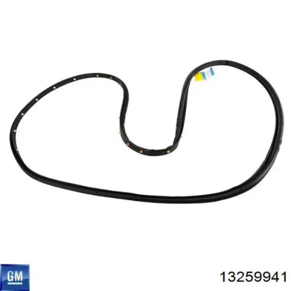 Уплотнитель двери передней левой (на двери) 13259941 General Motors