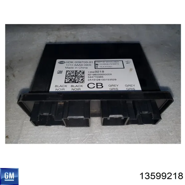  13599218 General Motors