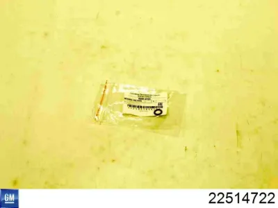 Кольцо уплотнительное топливной трубки GM 22514722