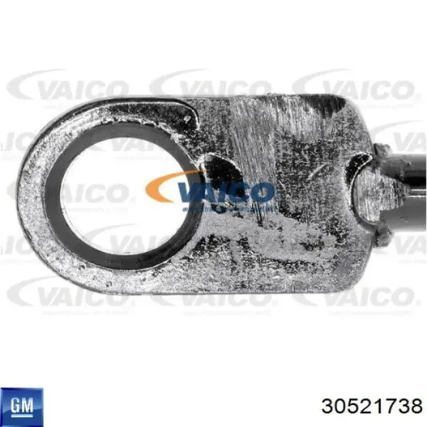Амортизатор задней двери General Motors 30521738 цена, от 8.35 USD