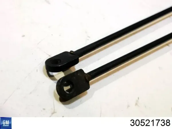 Амортизатор багажника 30521738 General Motors