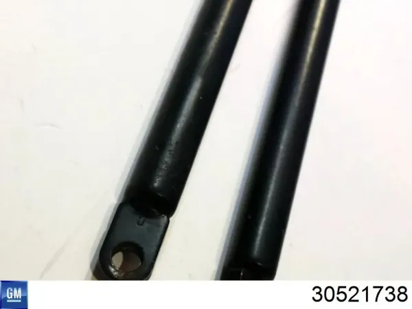 Амортизатор багажника 30521738 General Motors