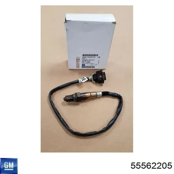 gm-55562205-