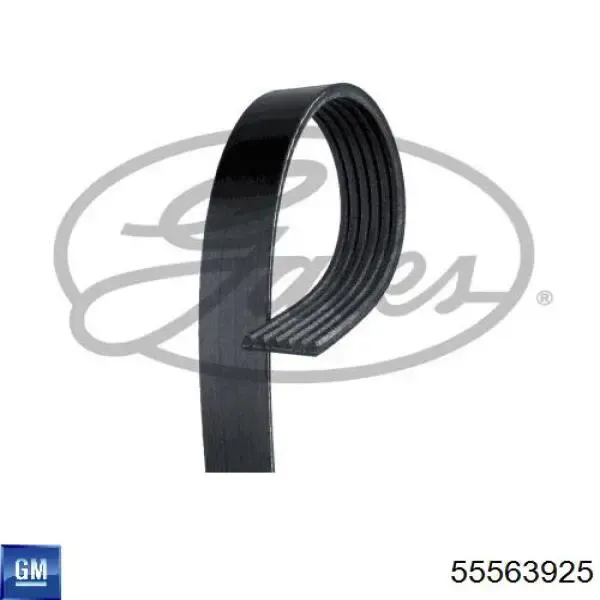 Ремень генератора 55563925 General Motors