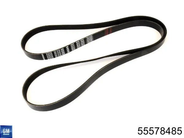 Ремень генератора 55578485 General Motors