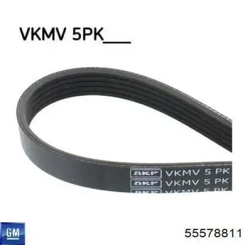 Ремень генератора 55578811 General Motors