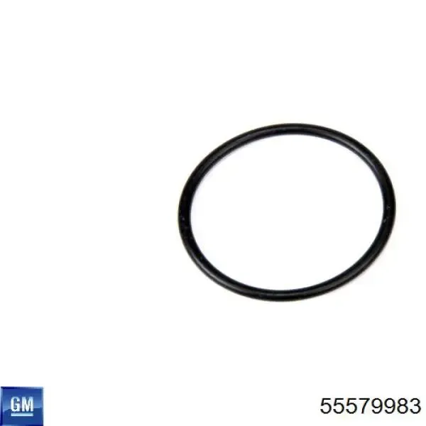 Прокладка водяной помпы 55579983 General Motors