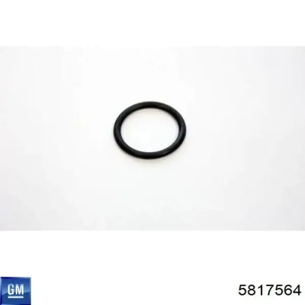 Ремкомплект форсунок 5817564 General Motors