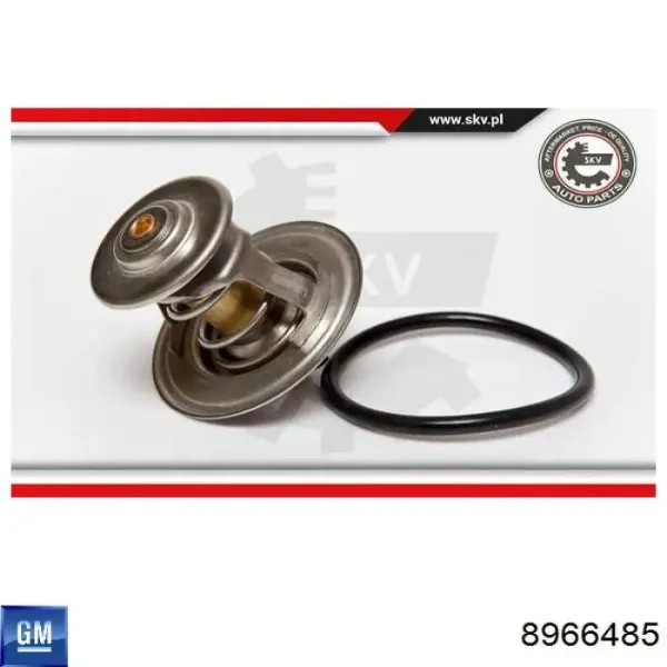 Термостат 8966485 General Motors