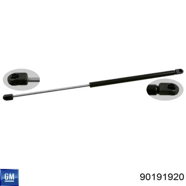Амортизатор багажника 90191920 General Motors