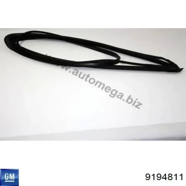 Лобовое стекло 9194811 General Motors