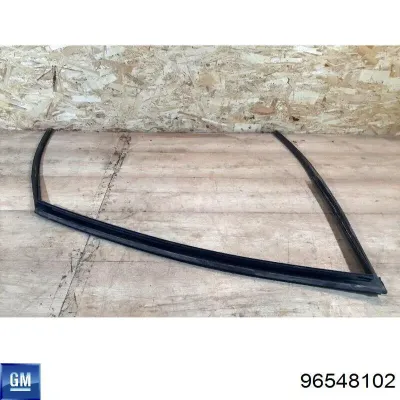Уплотнитель двери передней левой (на двери) GM 96548102