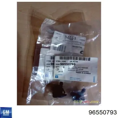 Форсунка омывателя лобового стекла GM 96550793