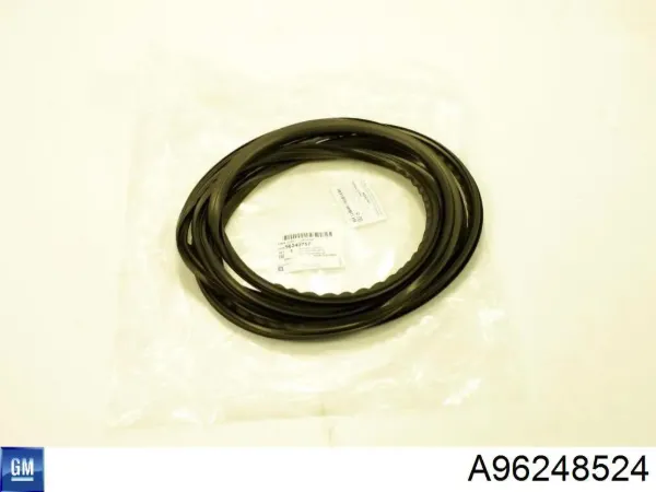 Боковина кузова правая A96248524 General Motors