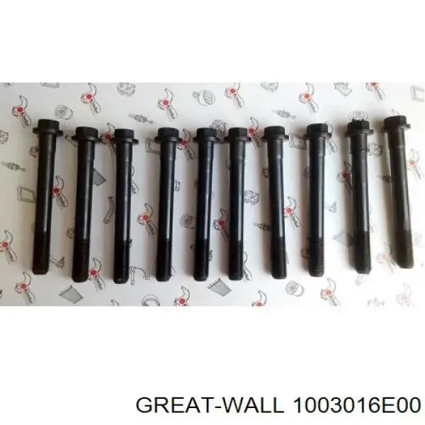  1003016E00 Great Wall