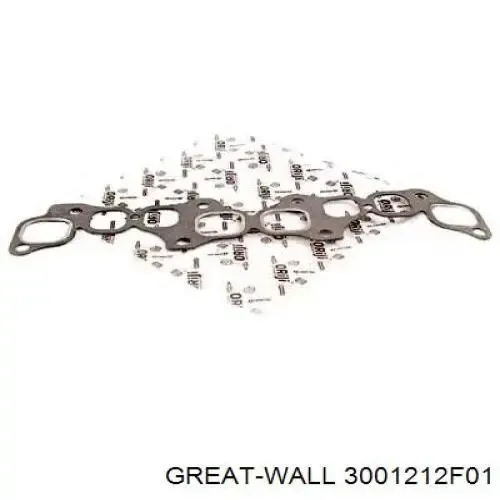  3001212F01 Great Wall