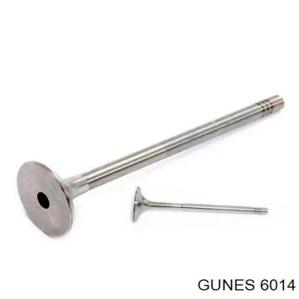 Впускной клапан 6014 Gunes