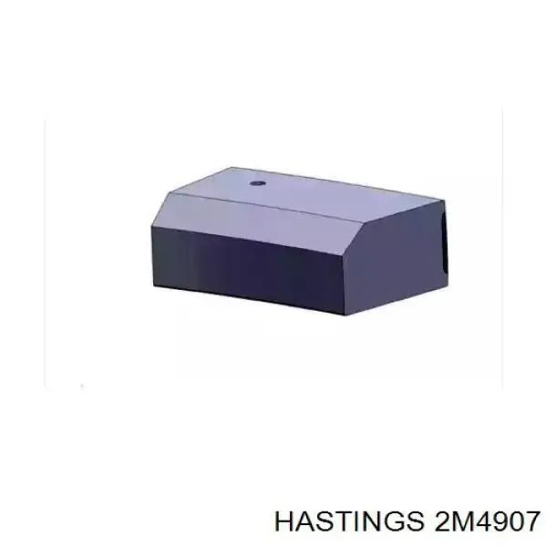  2M4907 Hastings