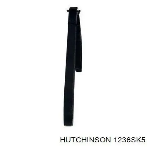 Клиновый ремень Hutchinson 1236SK5 цена, от
