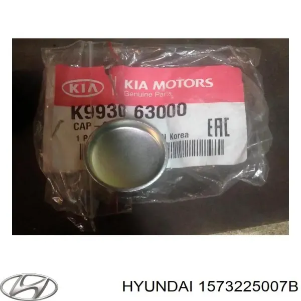 Крышка ГБЦ Hyundai/Kia 1573325000 цена, от