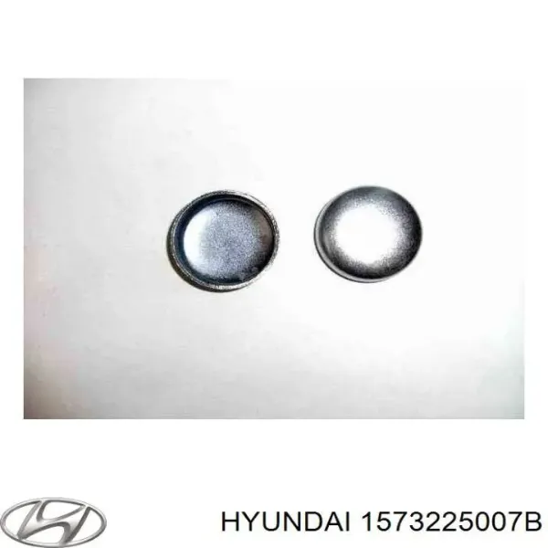Крышка ГБЦ Hyundai/Kia 1573225001 цена, от