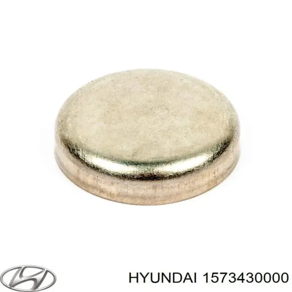 Заглушка двигателя на Hyundai Tucson I JM