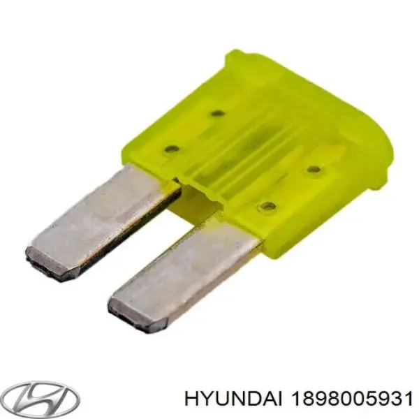 Купить 1898005931 Hyundai/Kia Предохранители