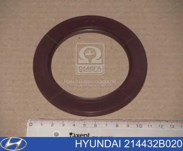 Сальник коленвала задний Hyundai/Kia 214432B020 цена, от