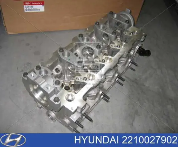 2210027902 Hyundai/Kia Головка блока цилиндров