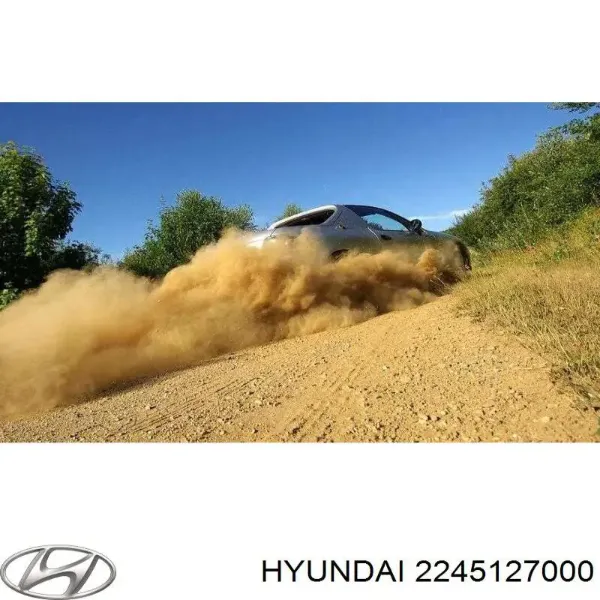  Кольцо (шайба) форсунки инжектора посадочное Hyundai Santa Fe 1
