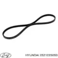 Ремень генератора Hyundai Sonata DN8