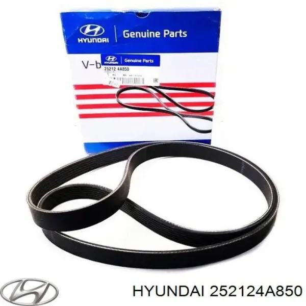 Ремень генератора 252124A850 Hyundai/Kia