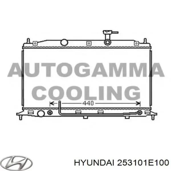 Радиатор 253101E100 Hyundai/Kia