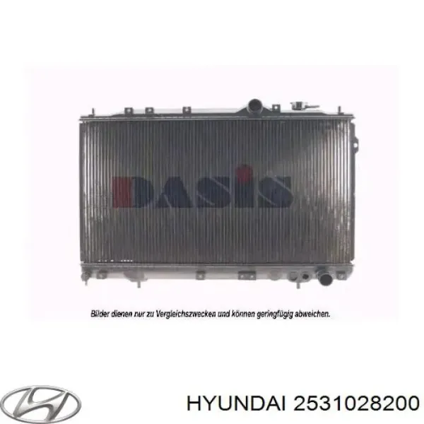 Радиатор 2531028200 Hyundai/Kia