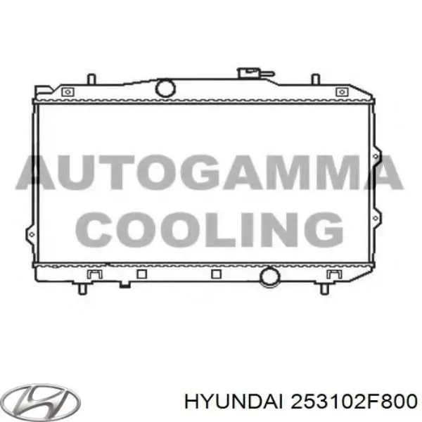Радиатор 253102F800 Hyundai/Kia
