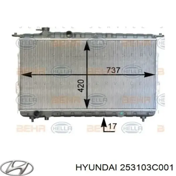 Купить 253103C001 Hyundai/Kia Радиатор водяной