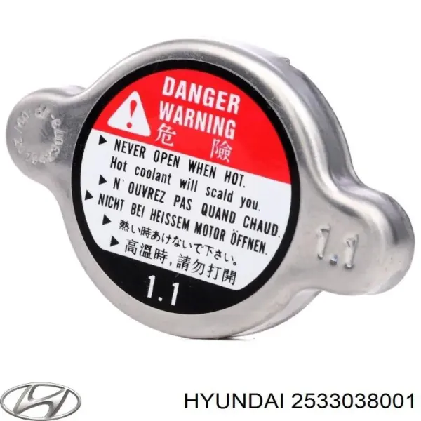 2533038001 Hyundai/Kia Крышка бачка радиатора