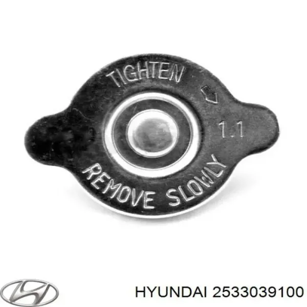Купить 2533039100 Hyundai/Kia Крышка радиатора