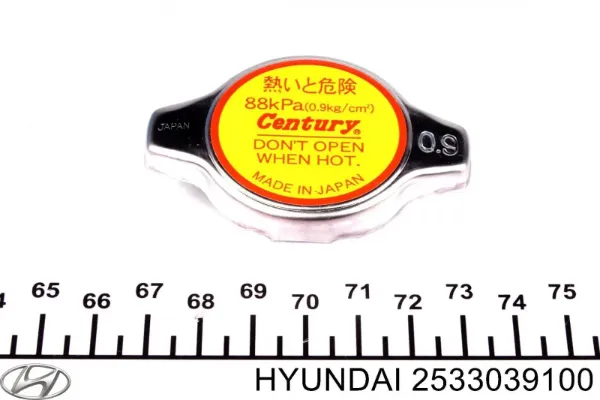 2533039100 Hyundai/Kia Крышка бачка радиатора