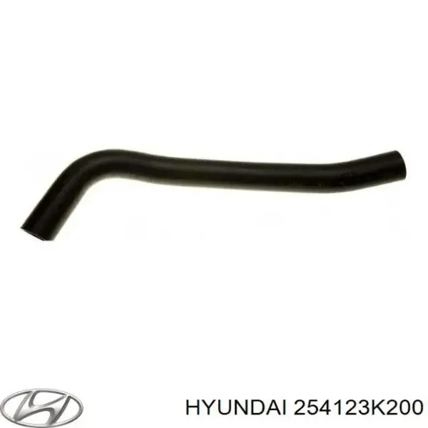  254123K200 Hyundai/Kia
