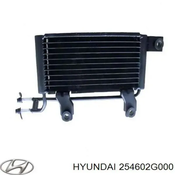 Масляный радиатор 254602G000 Hyundai/Kia