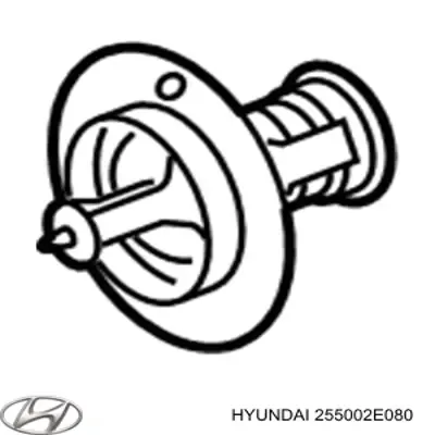 Термостат 255002E080 Hyundai/Kia