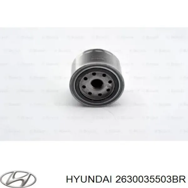 Купить 2630035503BR Hyundai/Kia Фильтр центробежный очистки масла